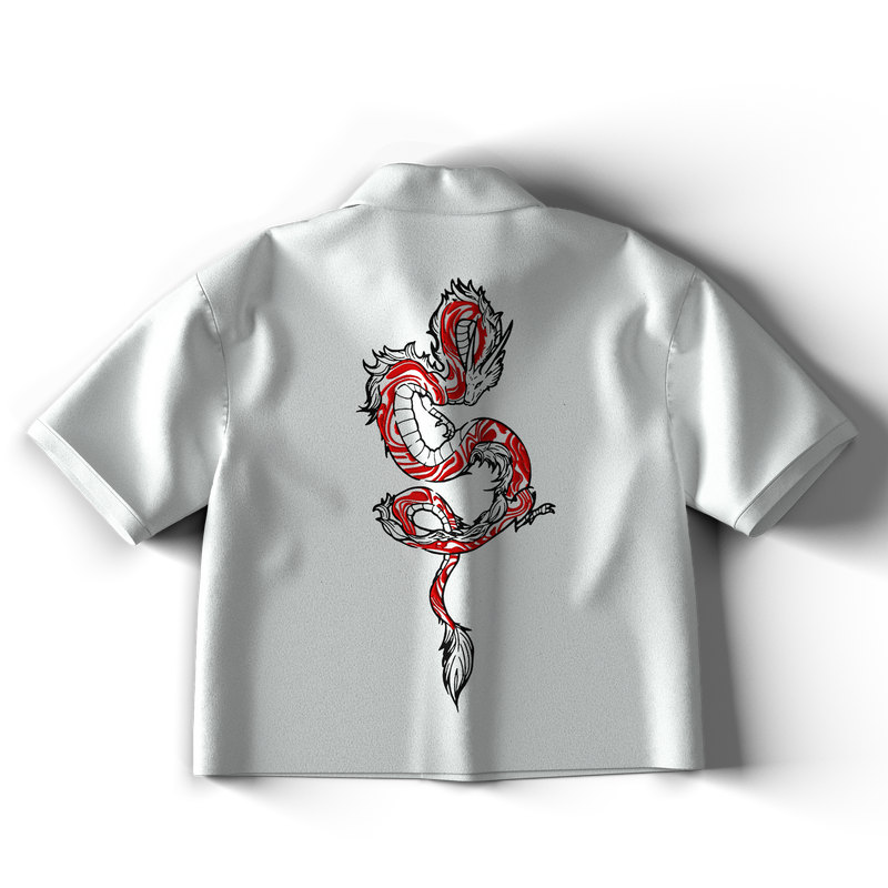 Dismissed Cropped Shirt
